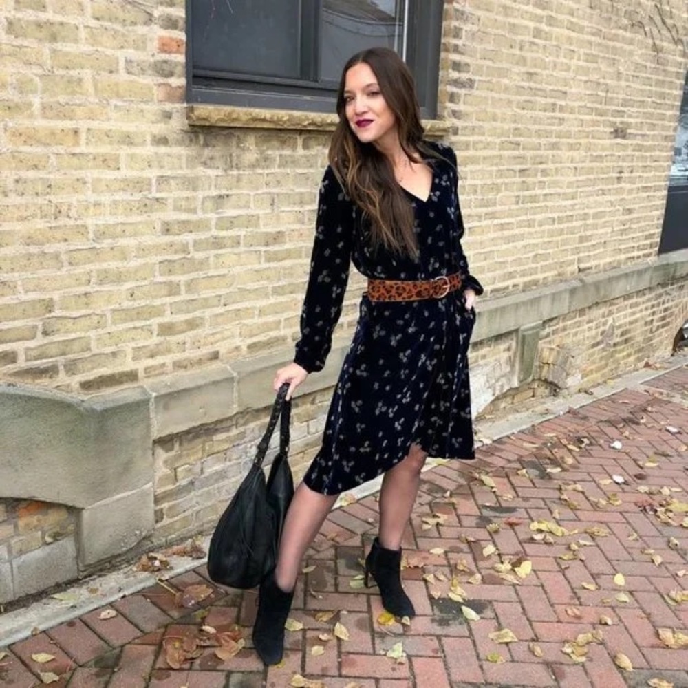 CAbi Decked Out Long Sleeve Velvet Floral Dress Size Medium